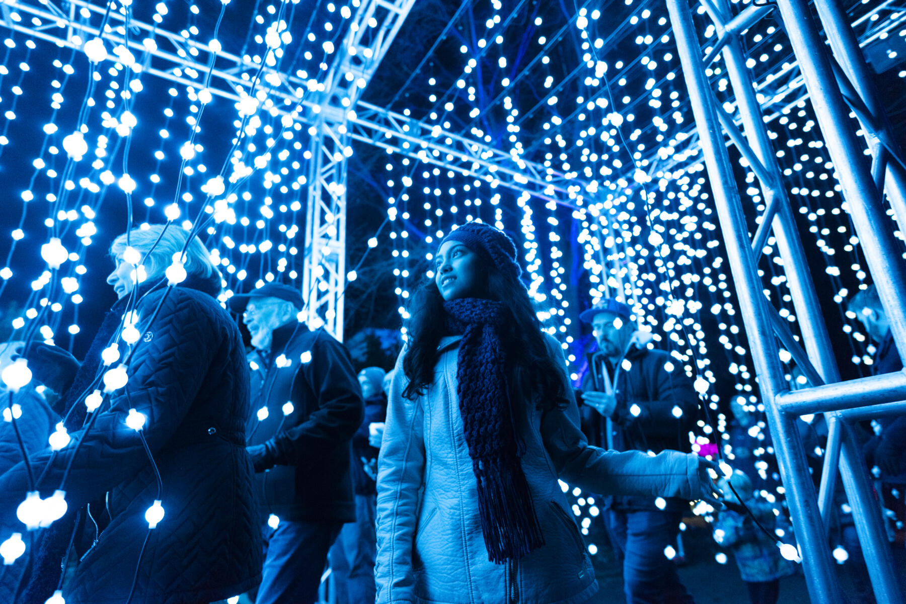 Lightscape at Chicago Botanic Gardens